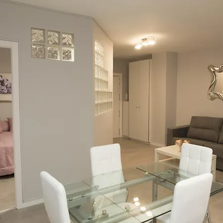 Apartamento Centro Gran Capitan
